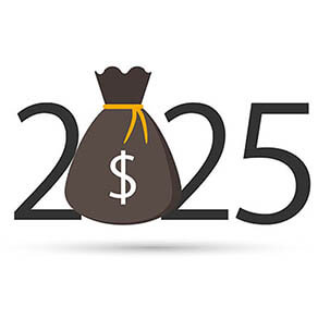 2025 with money bag